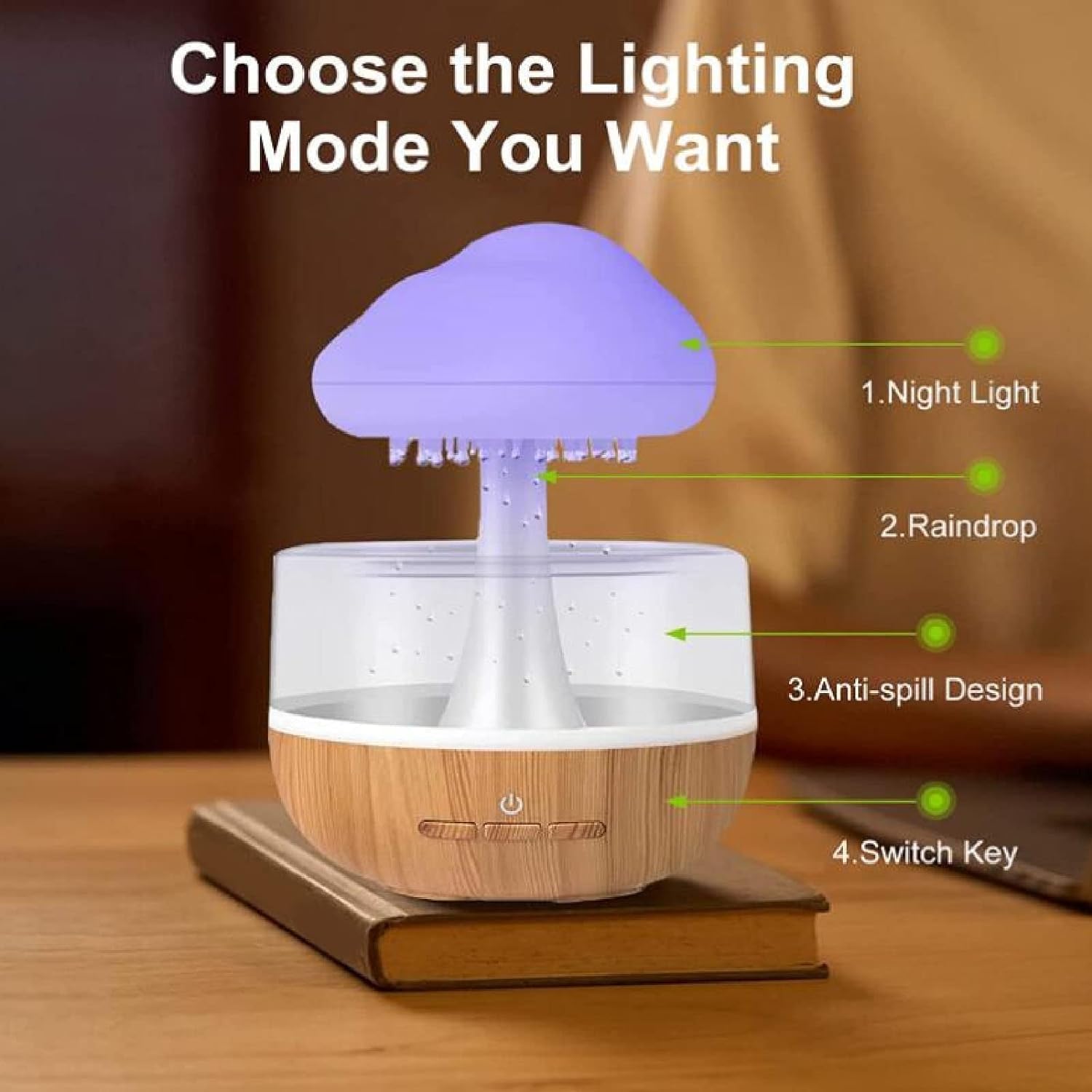 Rain Cloud Humidifier-AG00004643