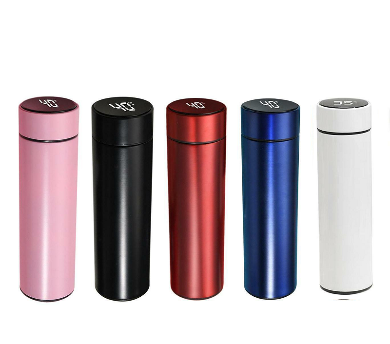 Stainless Steel Temperature Bottle (500ml)-AG00001895